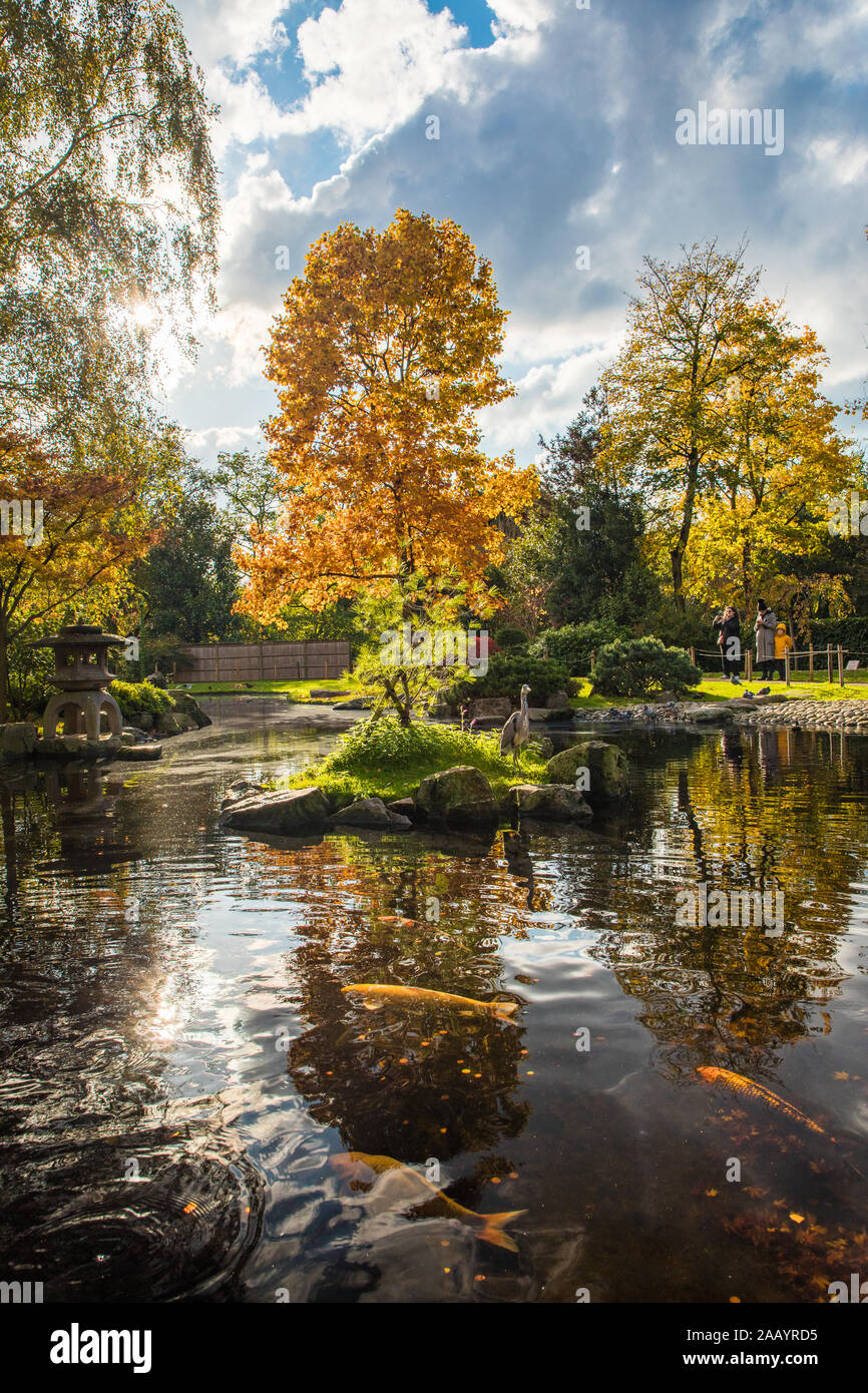 Londres, Angleterre, 10 Nov 2019. Couleurs lumineuses de Holland Park's Japanese Garden Kyoto. Un lieu de sérénité dans la ville animée de Londres. Banque D'Images