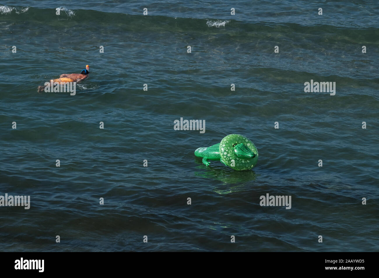 Une photo amusante d'un homme de la plongée avec tuba dans la mer à côté d'un alligator géant crocodile gonflable ou avec un anneau gonflable autour de son cou. Banque D'Images