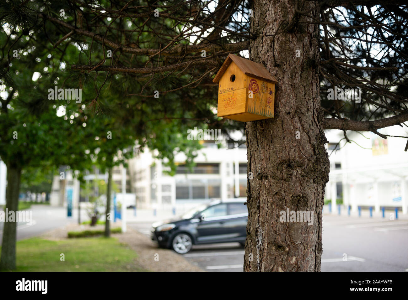 Inner city bird box scheme nichoirs d'oiseaux des endroits dans le centre-ville de Southampton, Angleterre centre commercial de West Quay. Banque D'Images