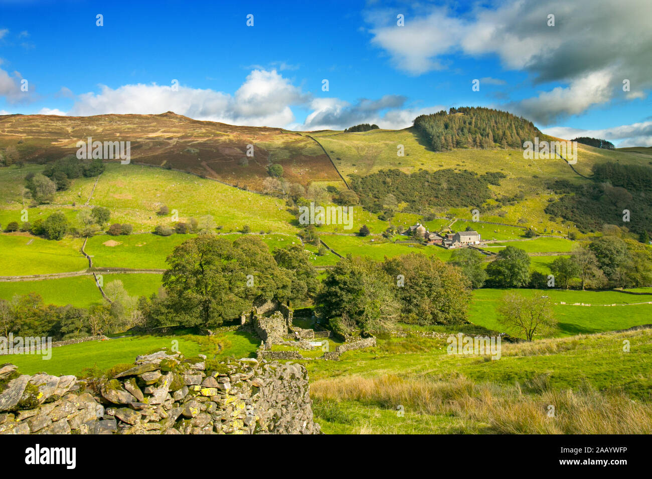 À l'échelle de l'Longsleddale, Cumbria de Docker Nook vers Murthwaite ferme à la fin de septembre Banque D'Images