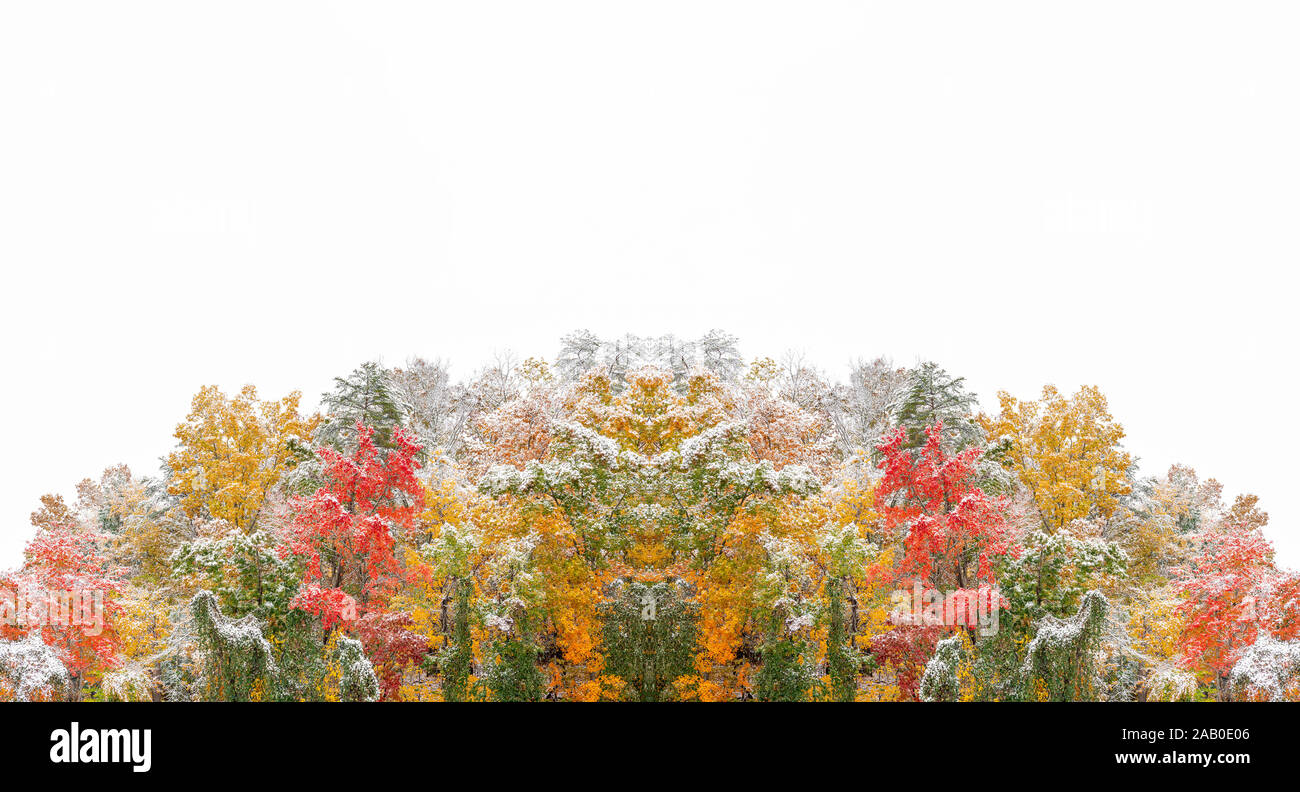 Coup horizontal de Smoky Mountains Couleurs d'automne avec une mince couche de neige et de l'espace blanc en haut. Banque D'Images