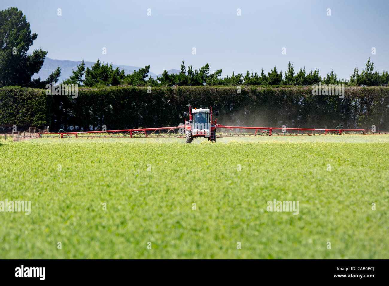 Annat, Canterbury, Nouvelle-Zélande, le 24 novembre 2019 : Un agriculteur pulvérise sa récolte dans un champ au printemps Banque D'Images