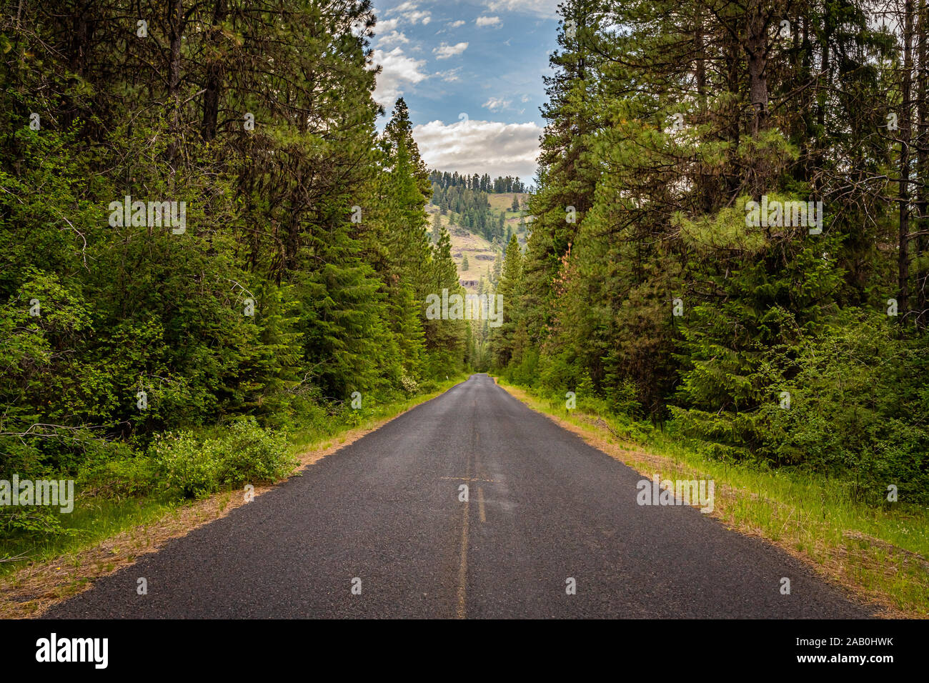 Wallowa Mountain Loop Road est situé dans la forêt nationale de Wallowa-Whitman près de Joseph, de l'Oregon. Banque D'Images