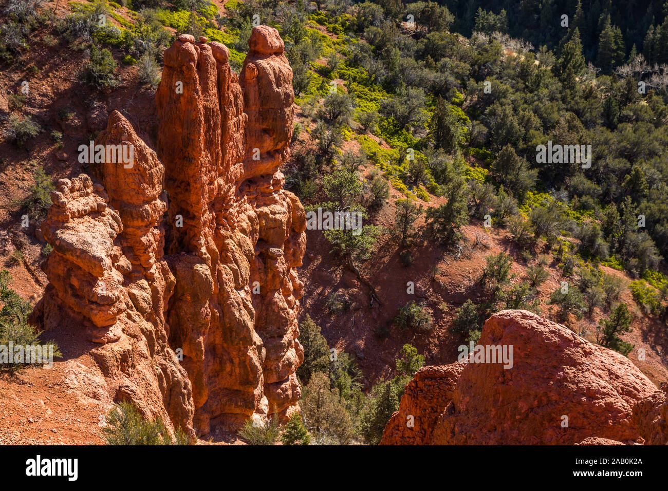 L'été à Brian Head avec tours de red rock et de pins dans les environs de canyon. Banque D'Images
