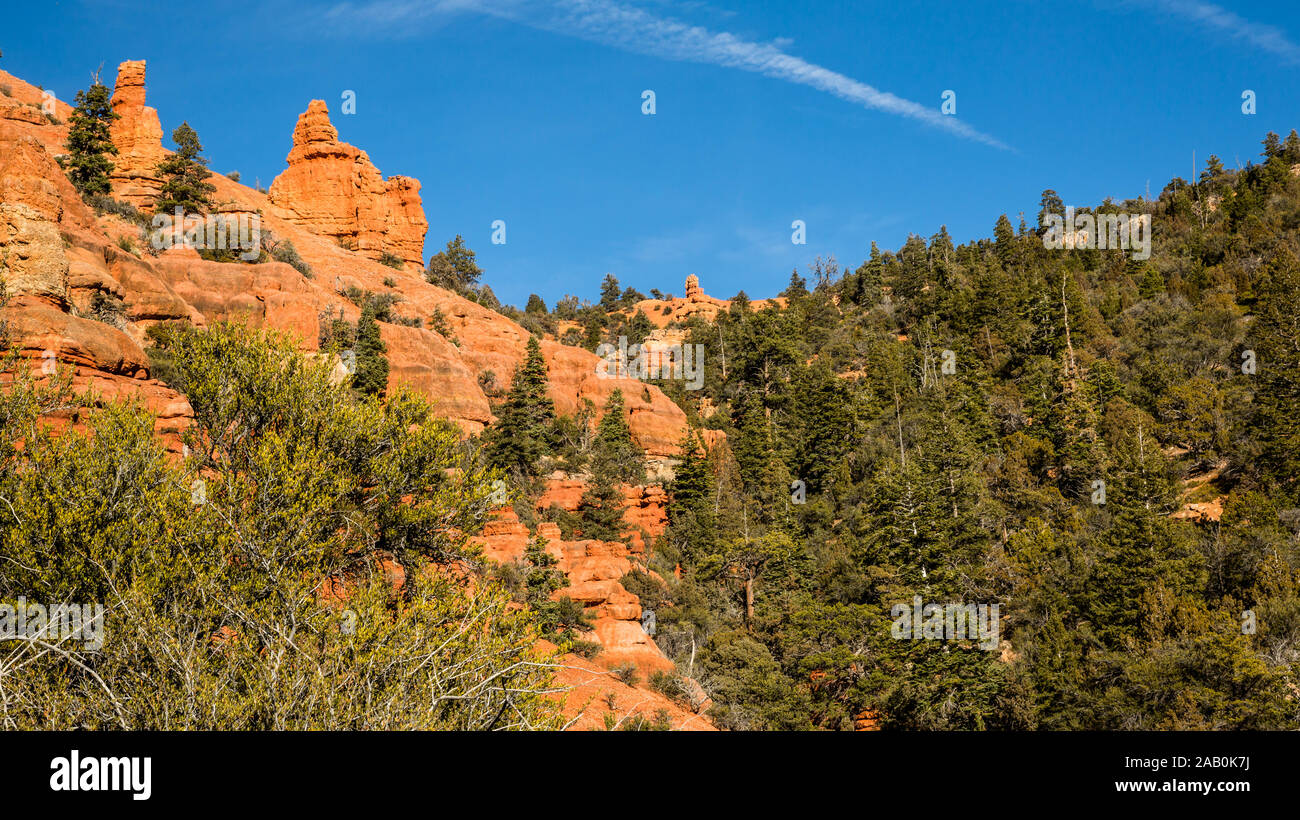 À près de 10 000 pieds d'altitude, la roche rouge du sud de l'Utah est overgron par le cèdre et le genévrier. Près de Byrce Canyon National Park. Banque D'Images