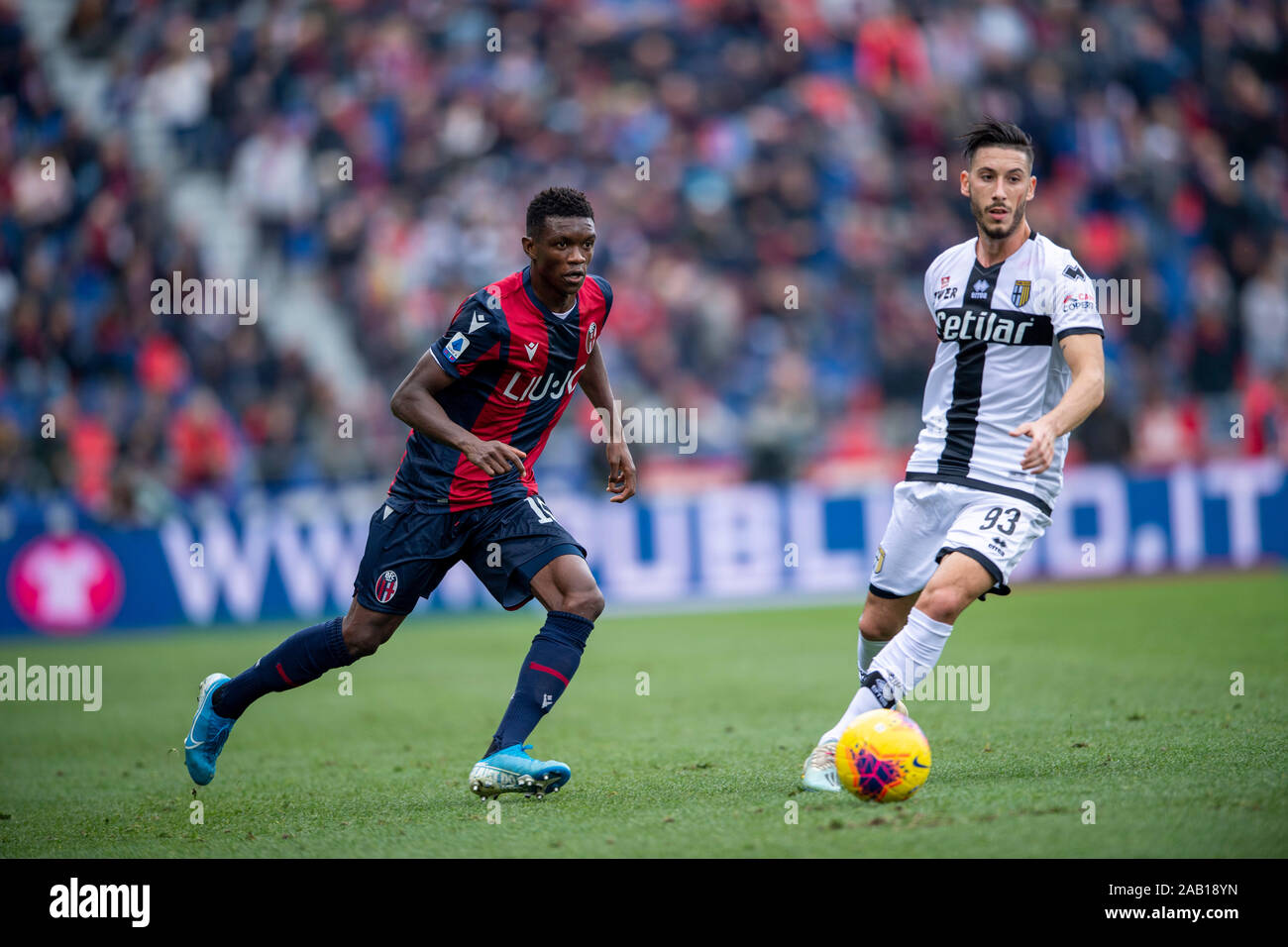 Mattia (Sprocati Parma)Ibrahima Mbaye (Bologne) au cours de l'Italien 'Serie' un match entre Bologne 2-2 Parma à Renato tous les Ara Stadium le 24 novembre 2019 à Bologne, en Italie. Credit : Maurizio Borsari/AFLO/Alamy Live News Banque D'Images