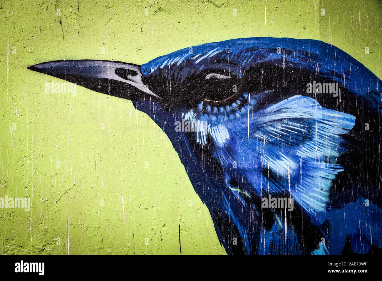 Lima, Pérou - Nov 17, 2019 : art urbain dans les rues de quartier Barranco de Lima Banque D'Images