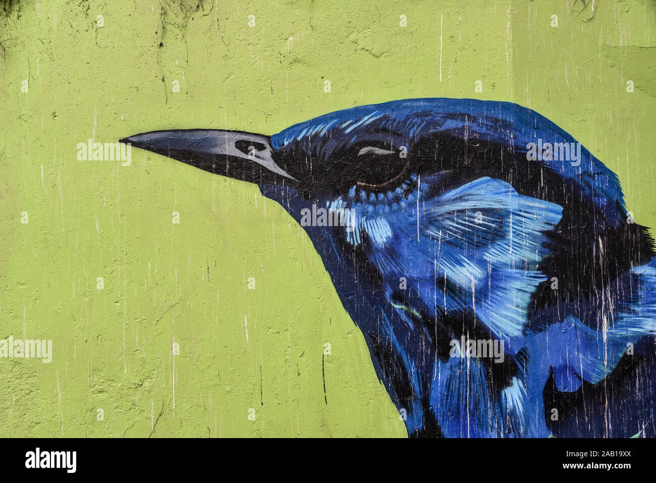 Lima, Pérou - Nov 17, 2019 : art urbain dans les rues de quartier Barranco de Lima Banque D'Images