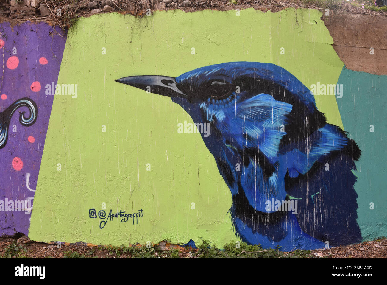 Lima, Pérou - Nov 17, 2019 : art urbain dans les rues de quartier Barranco de Lima Banque D'Images