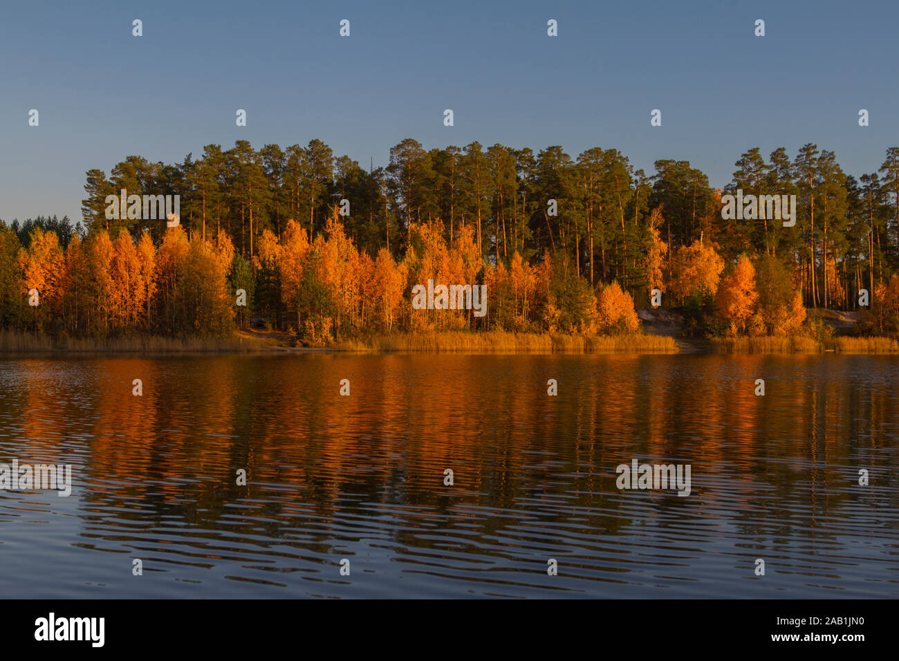 Scène pittoresque de la forêt de l'automne sur la rive du lac dans les rayons de soleil. Jaune Orange automne peintures lumineuses Banque D'Images