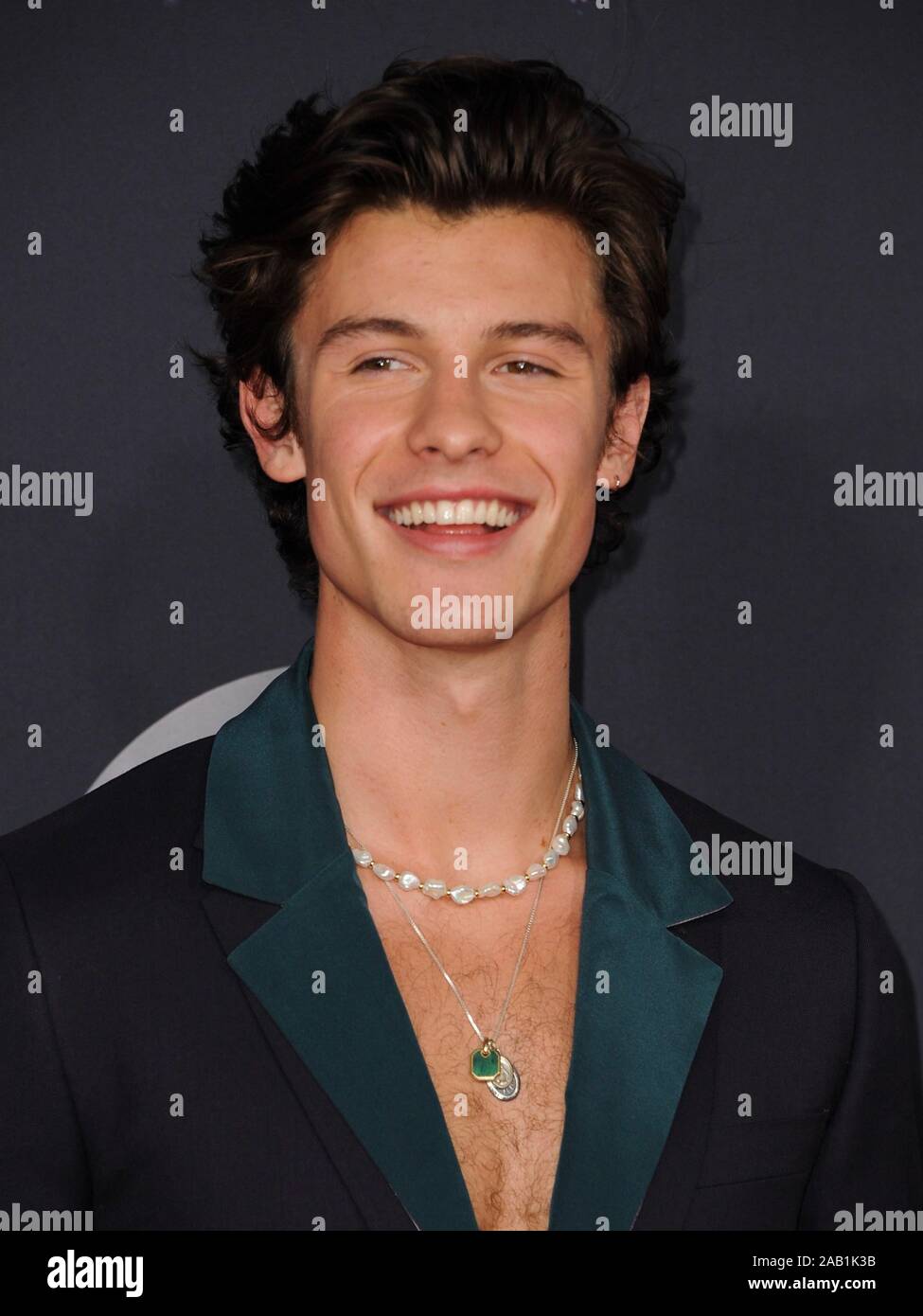 Los Angeles, CA. 24 Nov, 2019. Shawn Mendes aux arrivées pour 2019 American Music Awards - Arrivals 2, Microsoft Theatre, Los Angeles, CA, le 24 novembre 2019. Credit : Elizabeth Goodenough/Everett Collection/Alamy Live News Banque D'Images