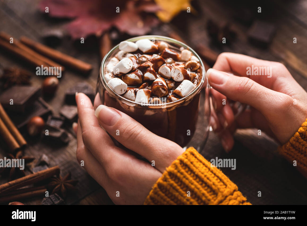 Female Hands Holding tasse de chocolat chaud avec de la Cannelle. Confort alimentaire savoureux. Boisson chaude pour l'automne et l'hiver Banque D'Images