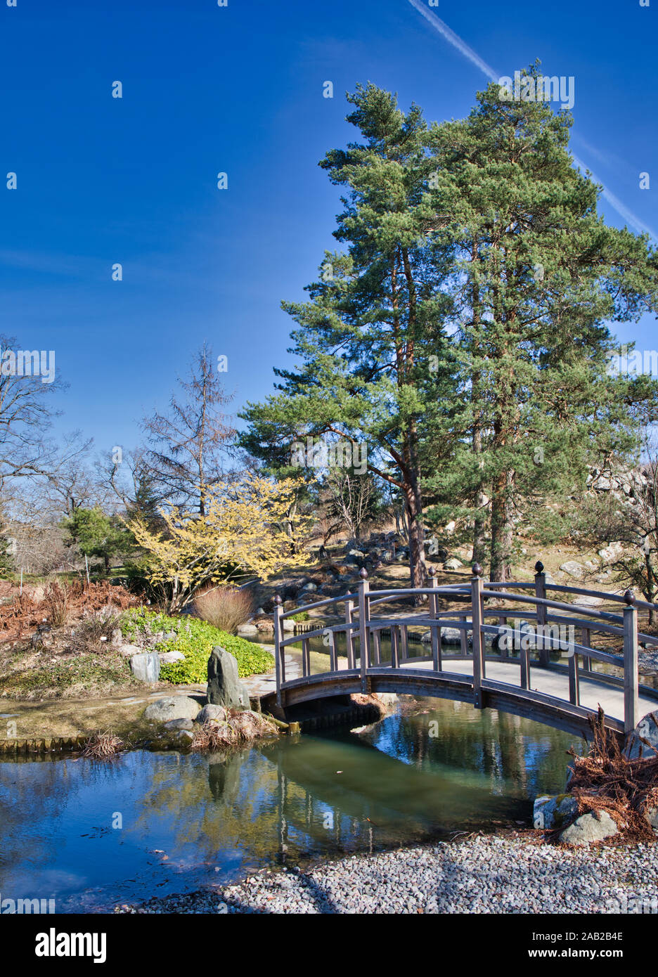 Bergianska Tradgarden Étang japonais au Jardin botanique (Bergian), Frescati, Stockholm, Suède Banque D'Images