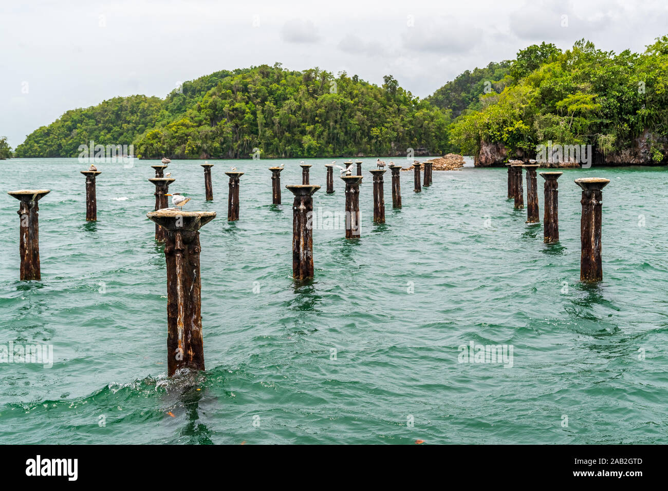 Parc national Los Haitises surnommée la baie d'Halong des Caraïbes.Les mangroves,une riche forêt tropicale, des oiseaux tropicaux multicolores et les lamantins. La côte Banque D'Images