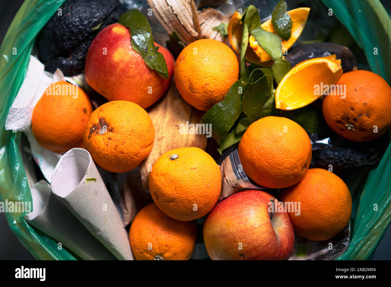 Les aliments gâtés dans la poubelle. L'embarras des oranges et des pommes de près. Les questions écologiques. Les déchets. Le problème des déchets de nourriture, les restes jetés dans la corbeille en Banque D'Images