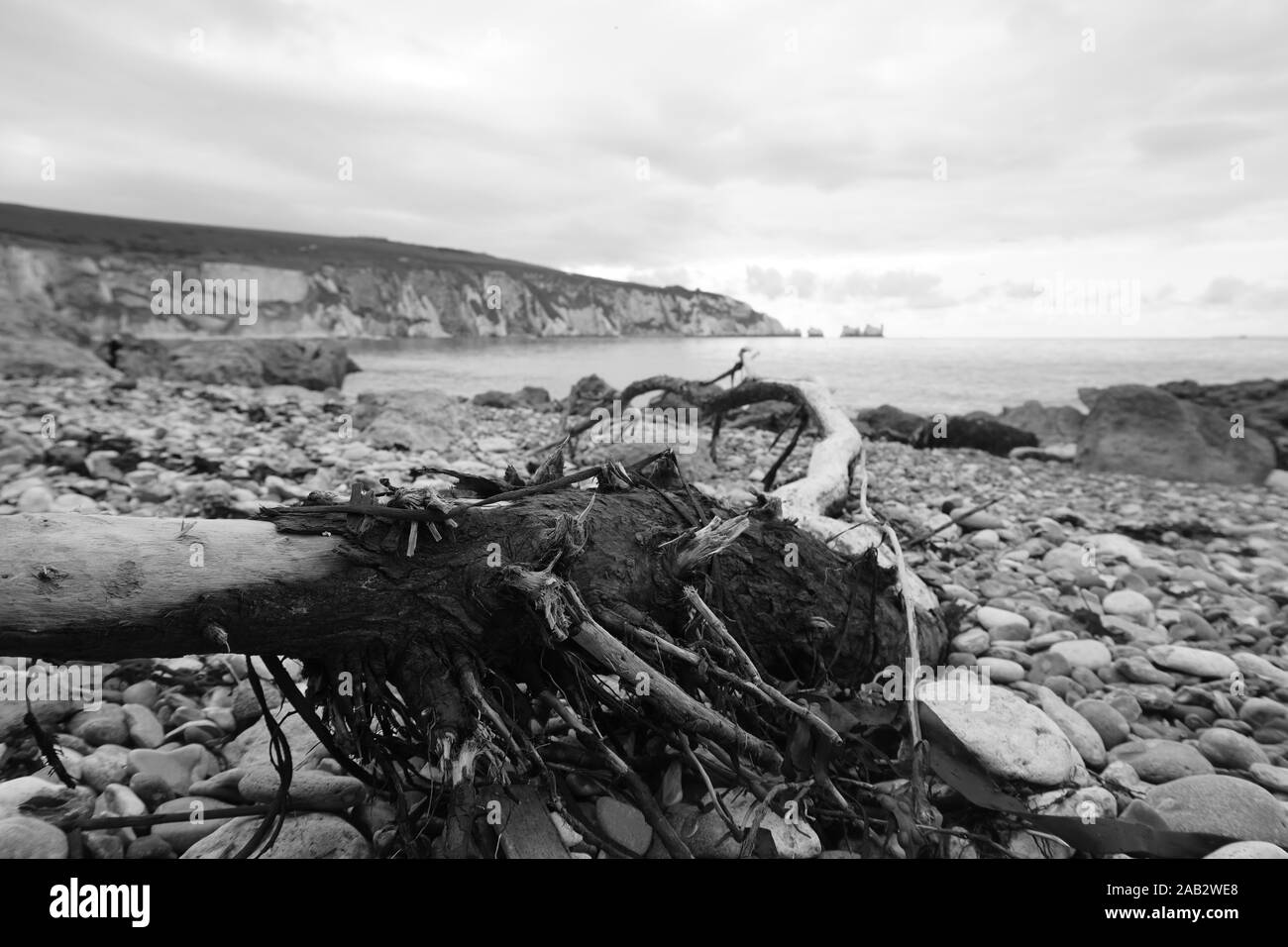 Les aiguilles de l'île de Wight Banque D'Images