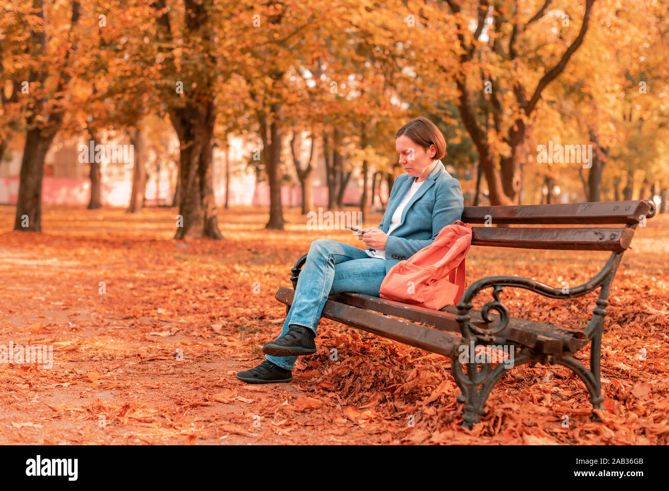 Businesswoman typing text message on mobile phone on park bench sur l'après-midi ensoleillée d'automne, selective focus Banque D'Images