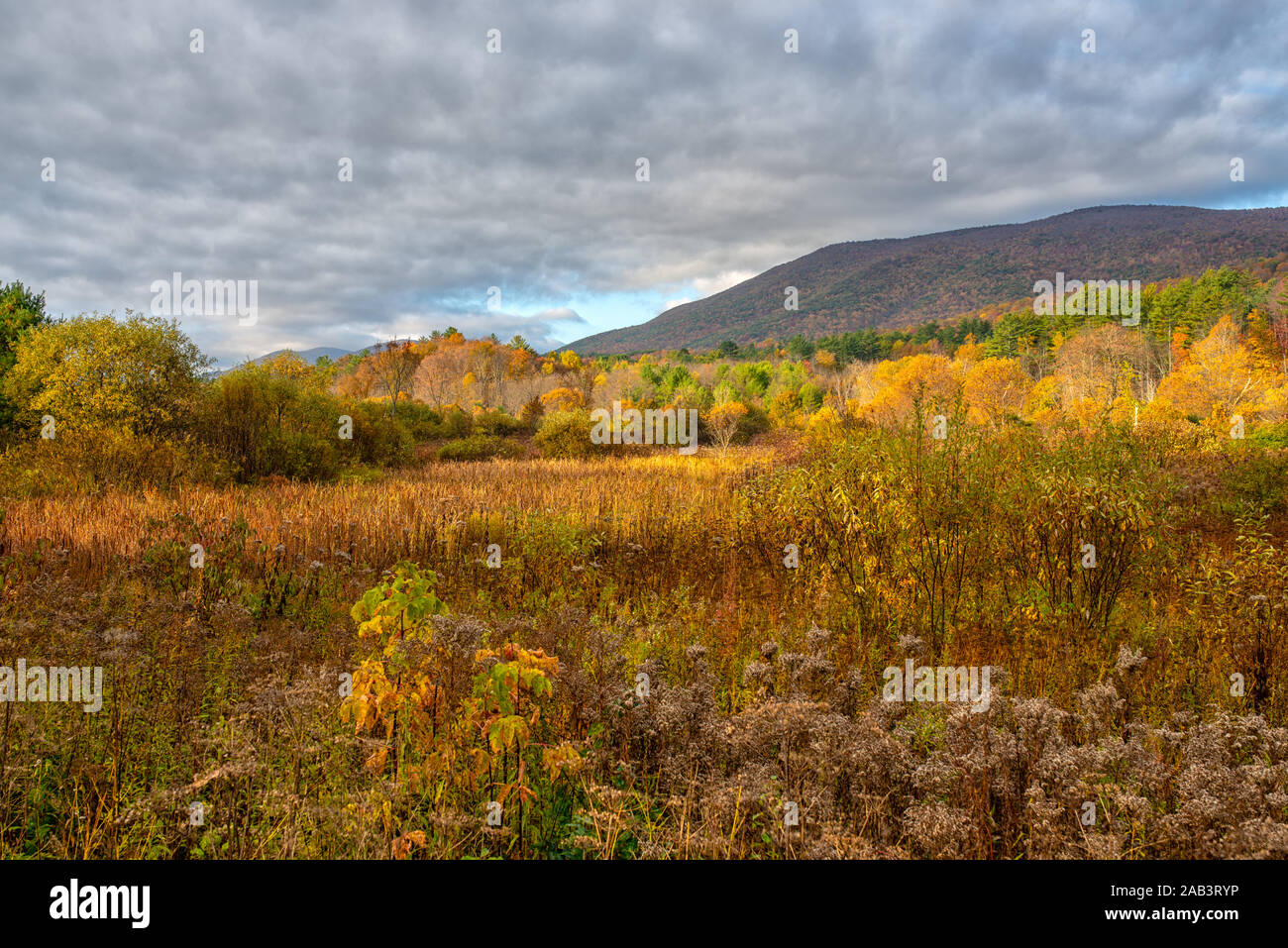 Paysage d'automne de Sunderland, Vermont avec un ciel spectaculaire et des montagnes en arrière-plan. Banque D'Images
