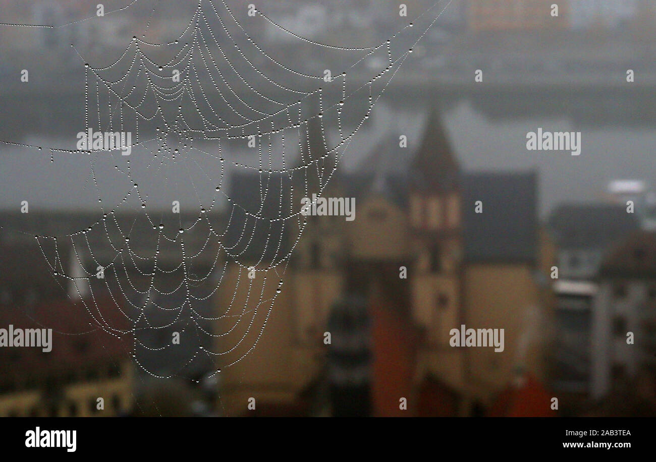 25 novembre 2019, la Bavière, Würzburg : Derrière une toile d'araignée couverte de gouttes de rosée vous pouvez voir l'église Sankt Burkard couché dans le brouillard. Sankt Burkard est la deuxième plus ancienne église de Würzburg. Photo : Karl-Josef Opim/dpa Banque D'Images