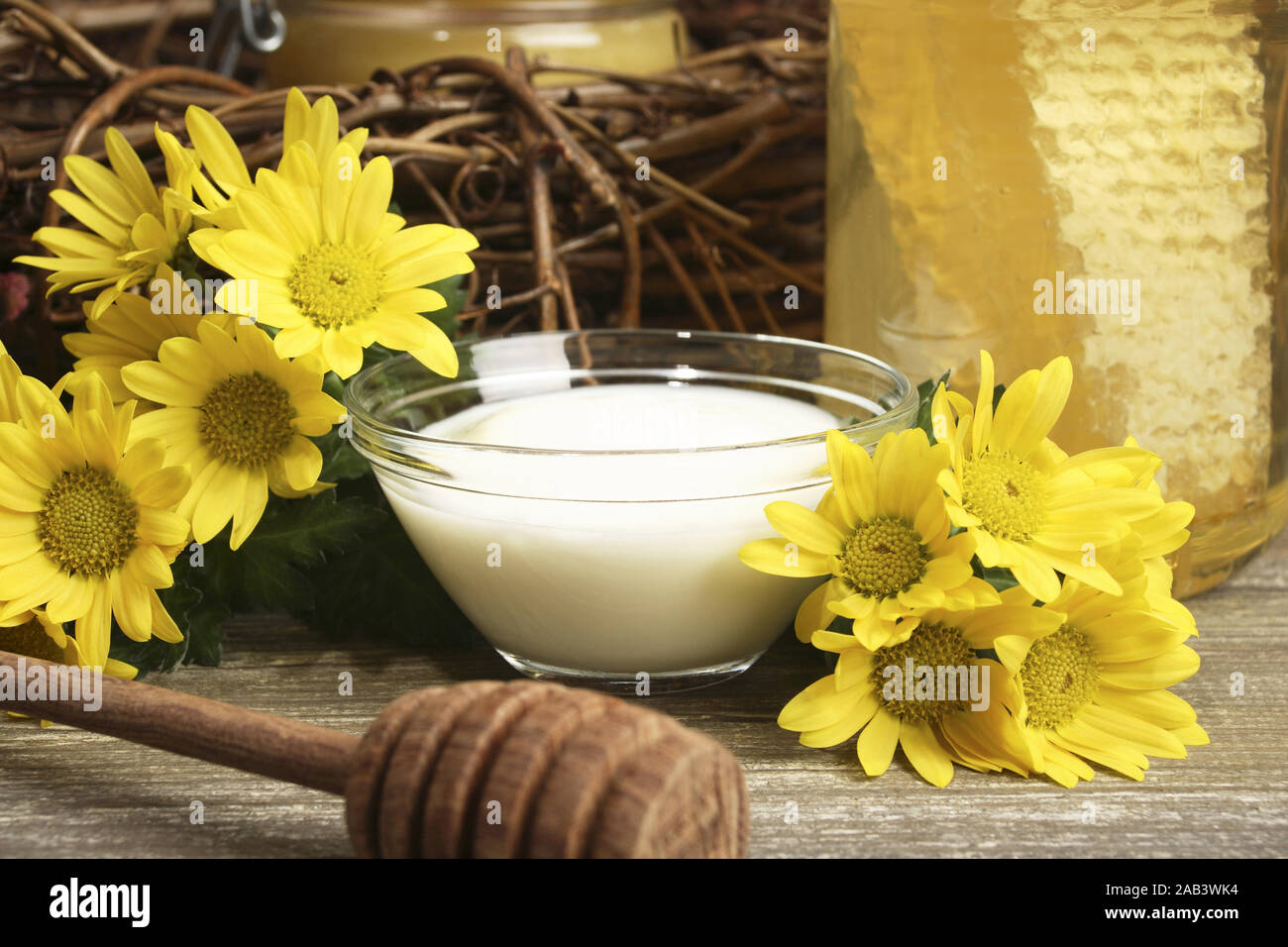 Verschiedenen Honigsorten, yaourt und Blumen |différents types de miel, yaourt et de fleurs| Banque D'Images