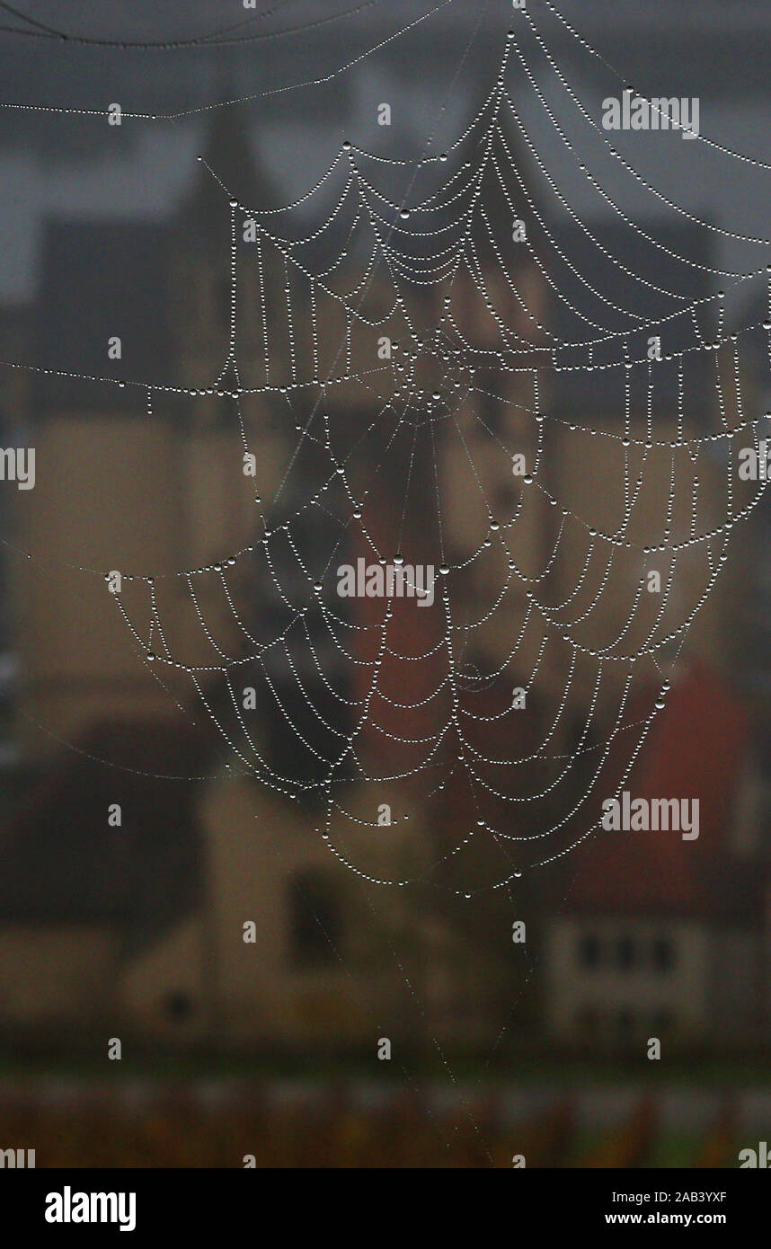 25 novembre 2019, la Bavière, Würzburg : Derrière une toile d'araignée couverte de gouttes de rosée vous pouvez voir l'église Sankt Burkard couché dans le brouillard. Sankt Burkard est la deuxième plus ancienne église de Würzburg. Photo : Karl-Josef Opim/dpa Banque D'Images