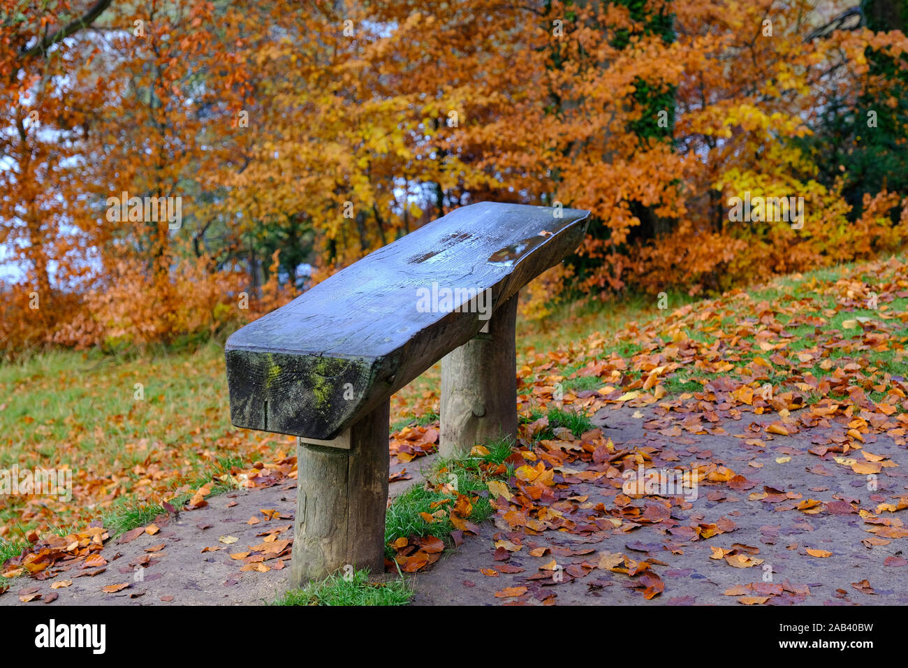 Un banc humide dans le parc du Palais de Blenheim en automne Banque D'Images