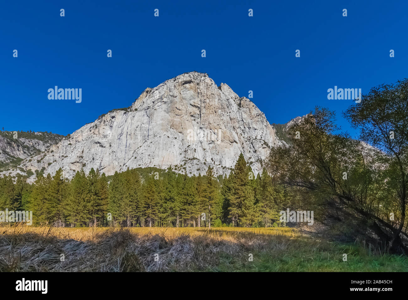 Meadow Zumwalt Boucle avec vue sur le dôme du nord dans la région de Cedar Grove Kings Canyon National Park, California, USA Banque D'Images