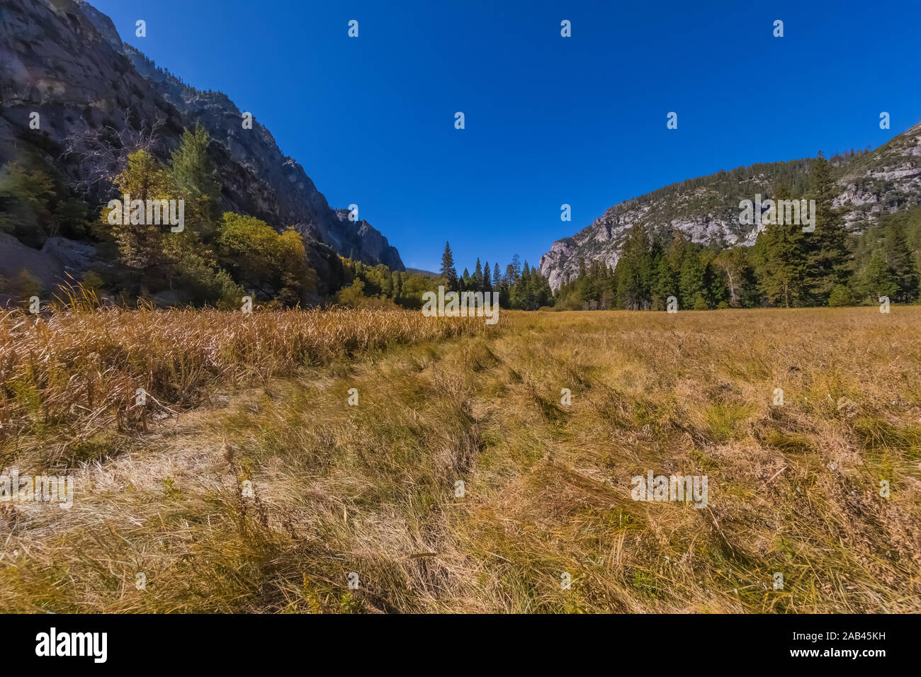 Boucle dans la prairie Zumwalt Cedar Grove domaine de Kings Canyon National Park, California, USA Banque D'Images