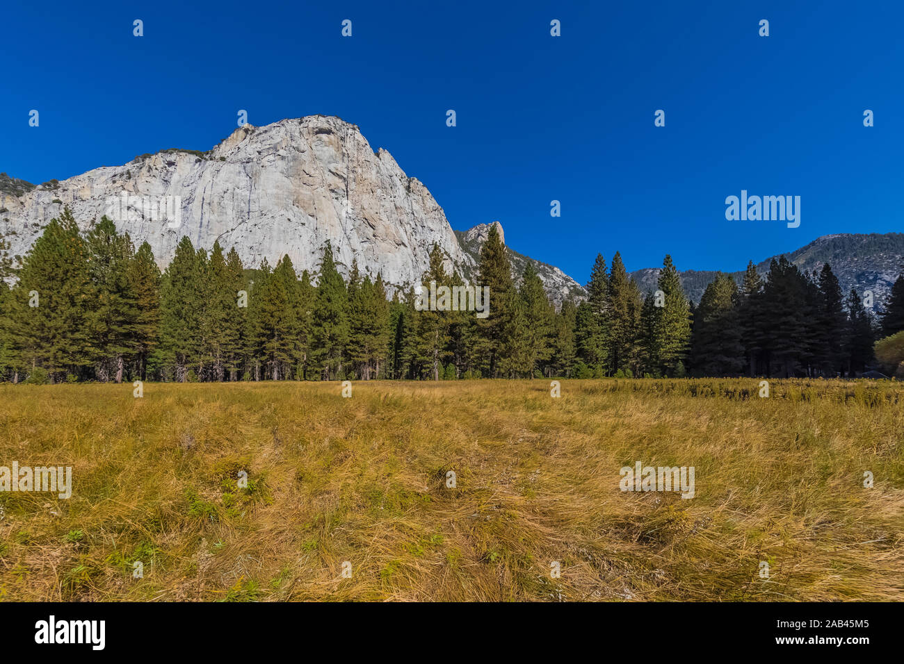 Meadow Zumwalt Boucle avec vue sur le dôme du nord dans la région de Cedar Grove Kings Canyon National Park, California, USA Banque D'Images