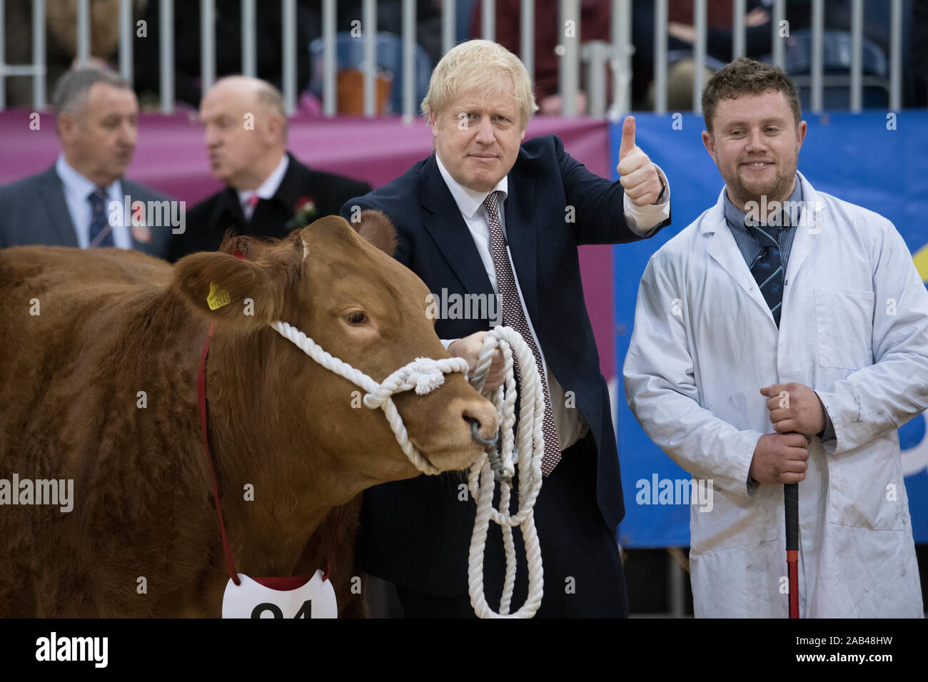 Premier ministre Boris Johnson, visite le Royal Welsh Showground, dans Llanelwedd Wellswhilst, sur l'ensemble de Builth campagne électorale de sentier. PA Photo. Photo date : lundi 25 novembre 2019. Voir l'histoire des élections. LA POLITIQUE PA Crédit photo doit se lire : Stefan Rousseau/PA Wire Banque D'Images