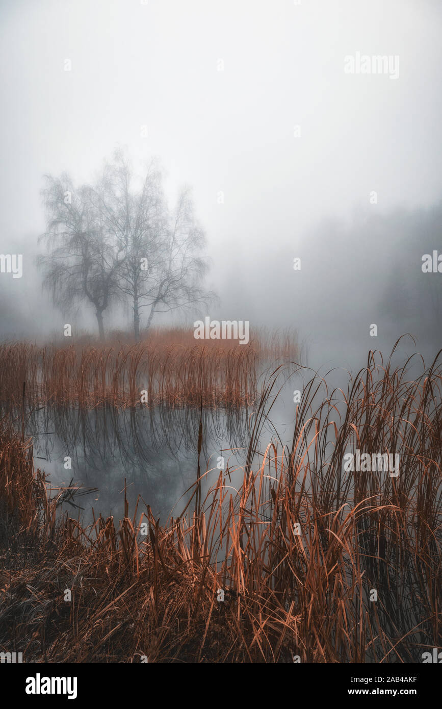 Paysage d'automne avec beaucoup de brume sur le lac Banque D'Images