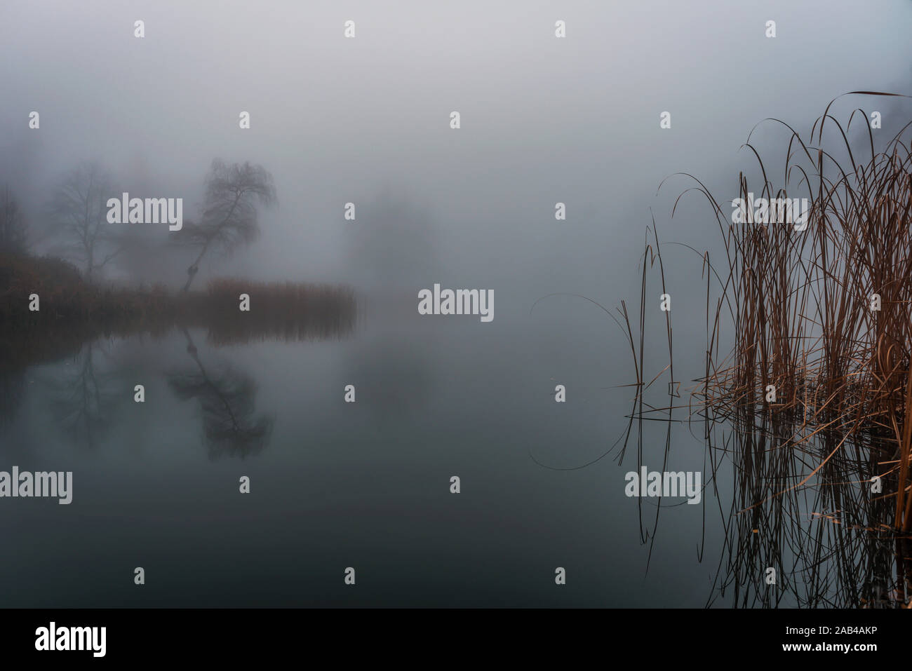Paysage d'automne avec beaucoup de brume sur le lac Banque D'Images