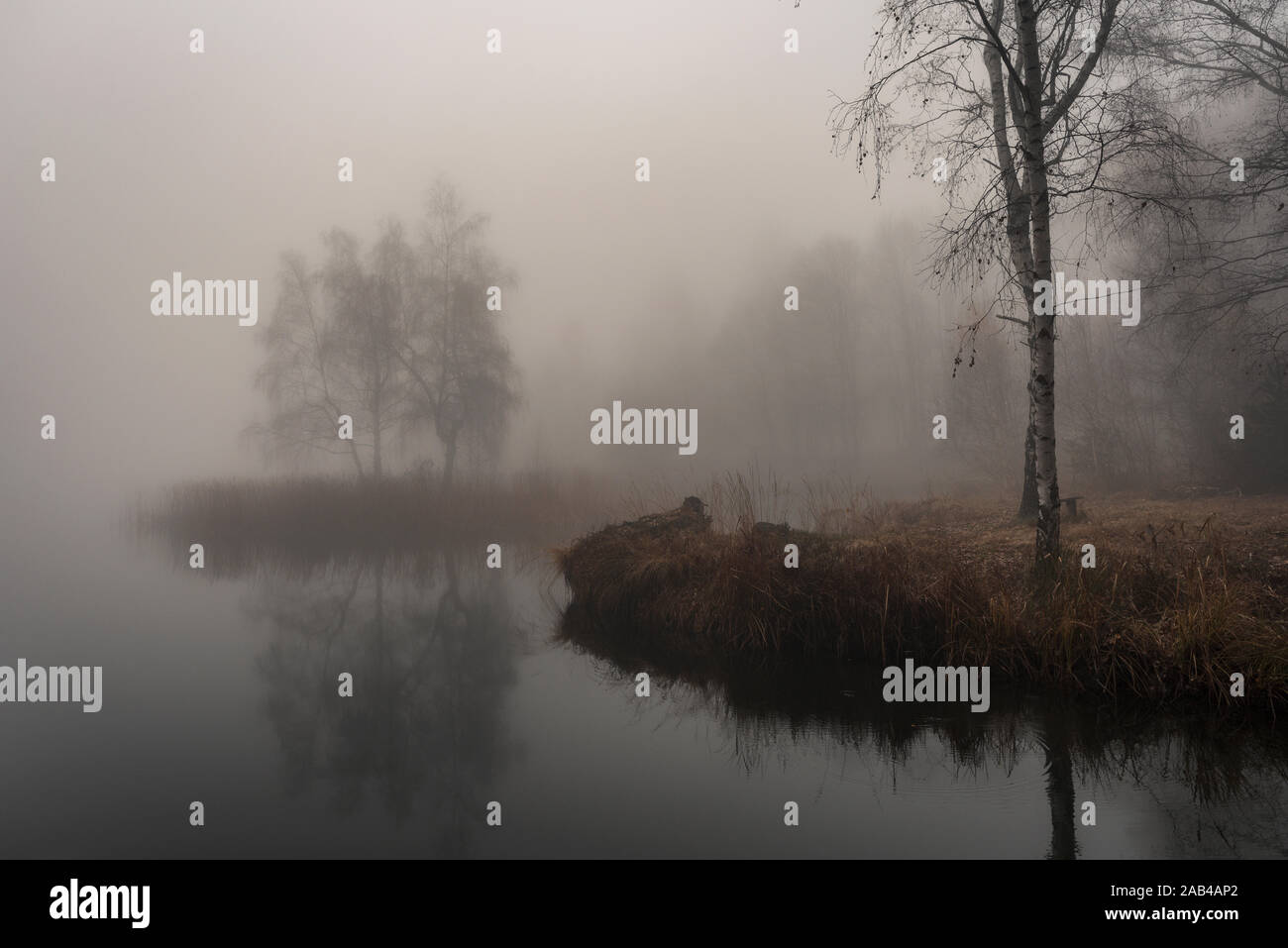Paysage d'automne avec beaucoup de brume sur le lac Banque D'Images