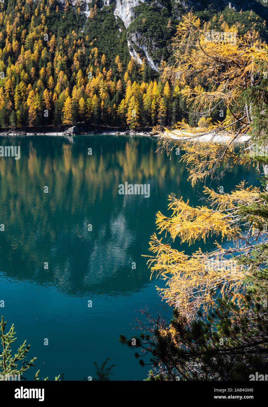 Automne lac alpin paisible ou Braies Pragser Wildsee. Parc national de Fanes-Sennes-Prags, Dolomites Tyrol du Sud, Alpes, Italie, Europe. Trave pittoresque Banque D'Images