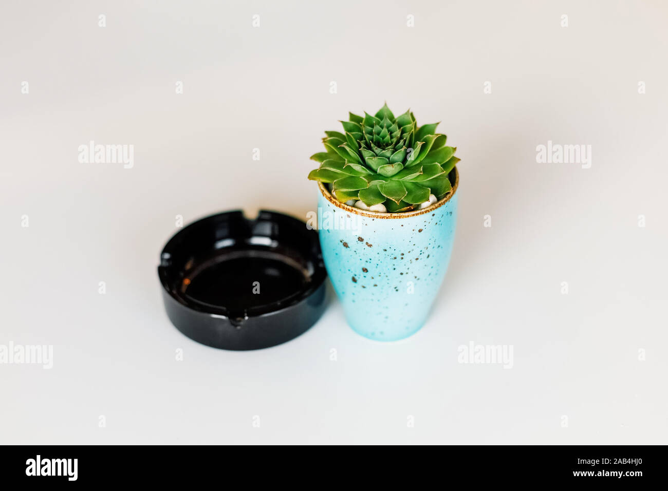 Cendrier de pot de fleur Banque de photographies et d'images à haute  résolution - Alamy
