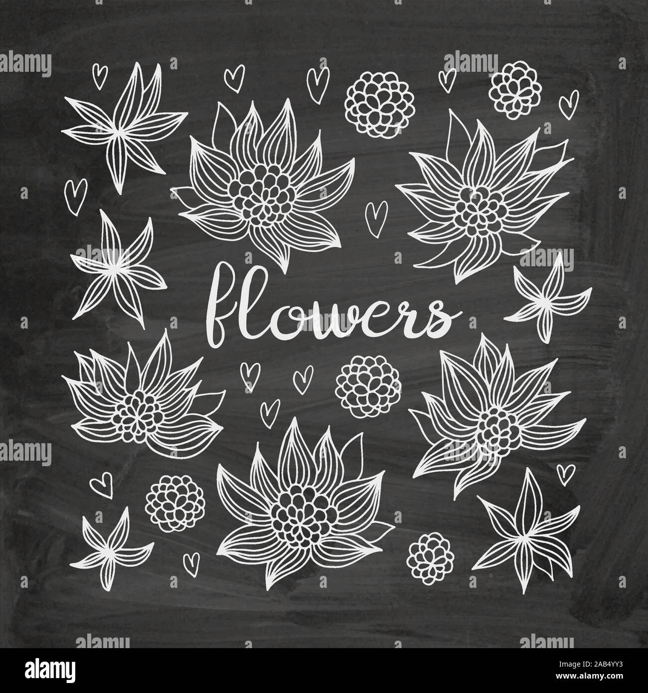 Vector set fleurs floral, doodles collection sur tableau arrière-plan Illustration de Vecteur