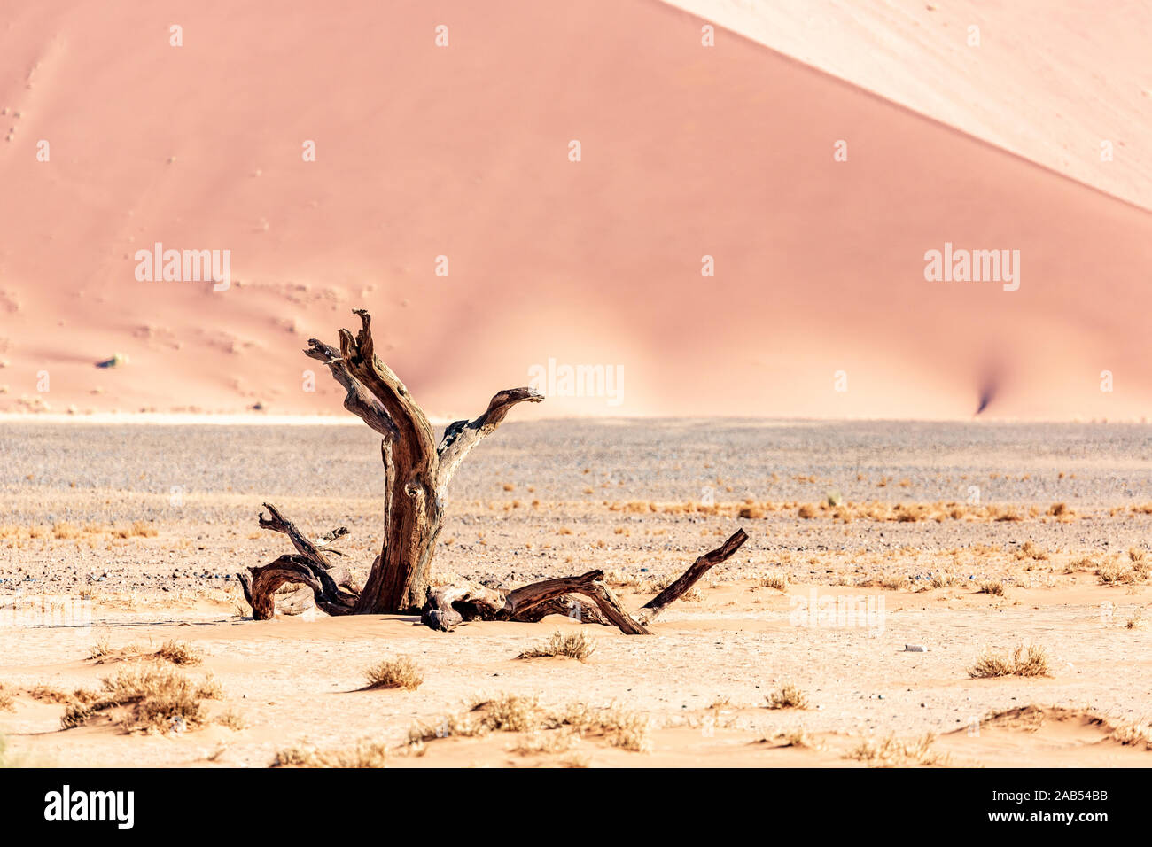Les dunes de sable rouge de Sossusvlei et dans le désert du namib en Namibie, Afrique Banque D'Images