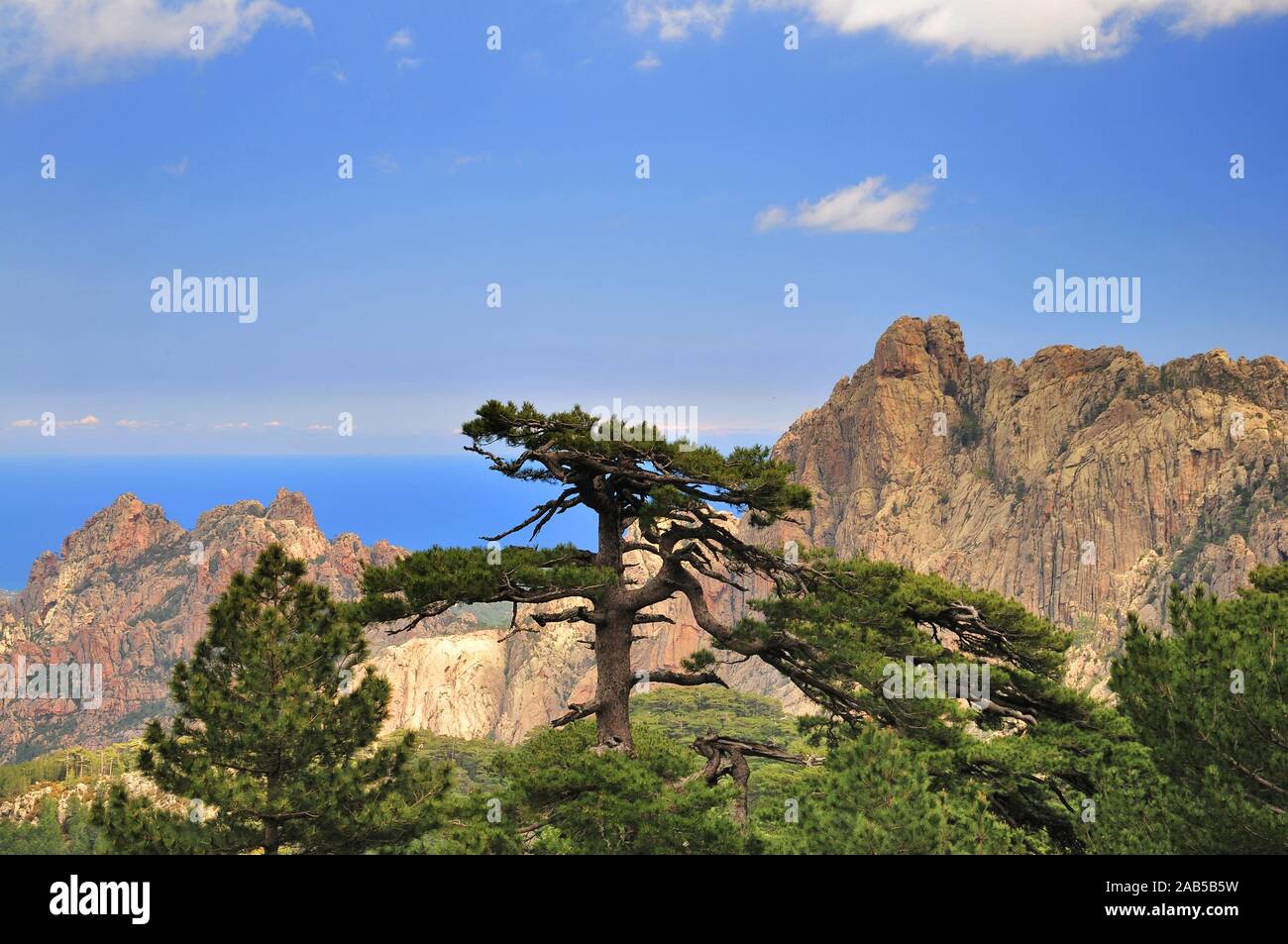 Le massif de Bavella dans l'est de la Corse, France, Europe Banque D'Images