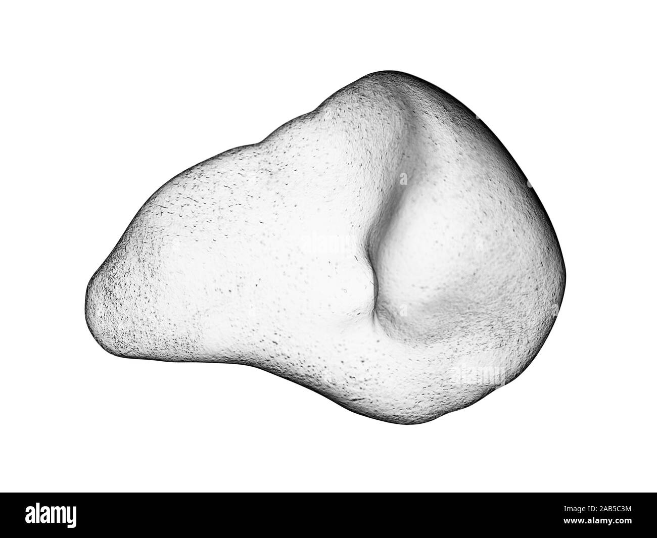 Médicalement en rendu 3d illustration de la rate exacte Banque D'Images