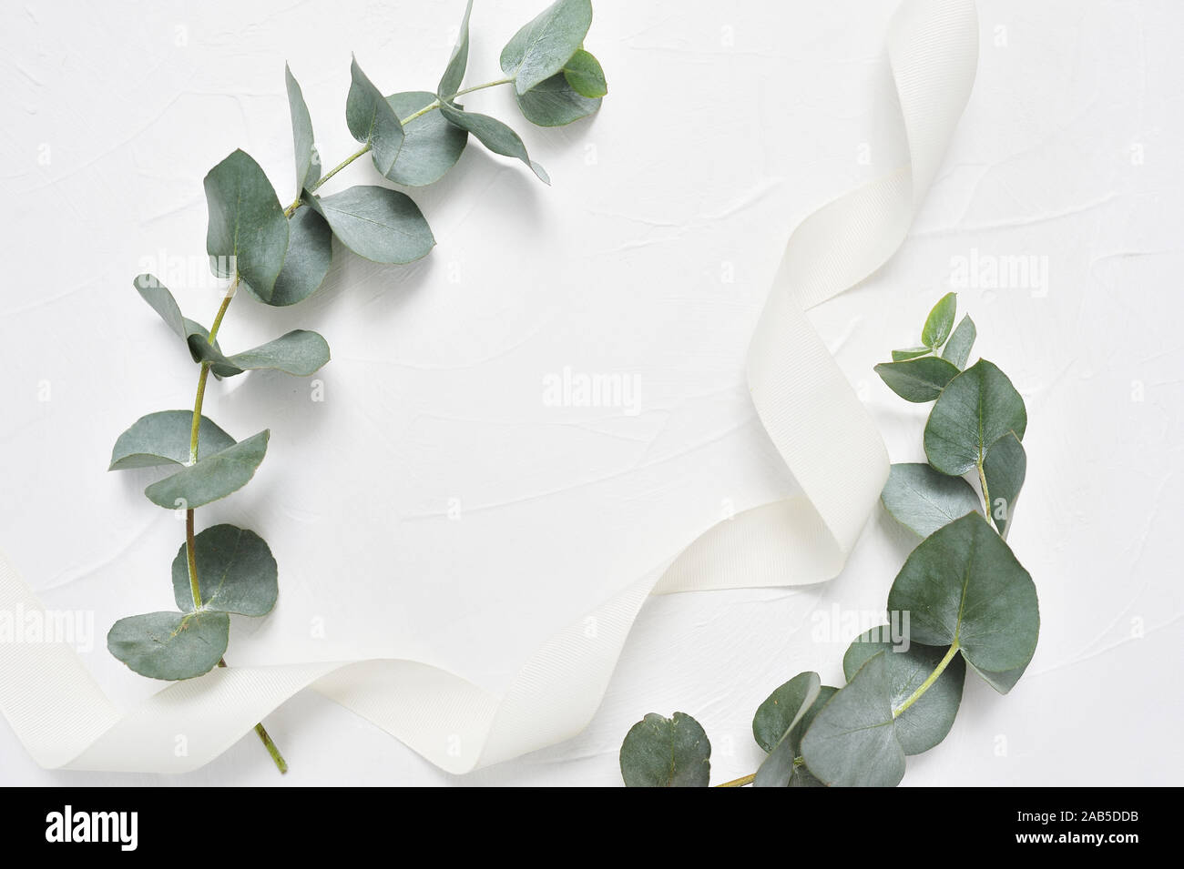 Des feuilles d'eucalyptus et des hachures sur fond blanc. Couronne faite de branches de feuilles. Mise à plat, vue supérieure avec place pour votre texte Banque D'Images