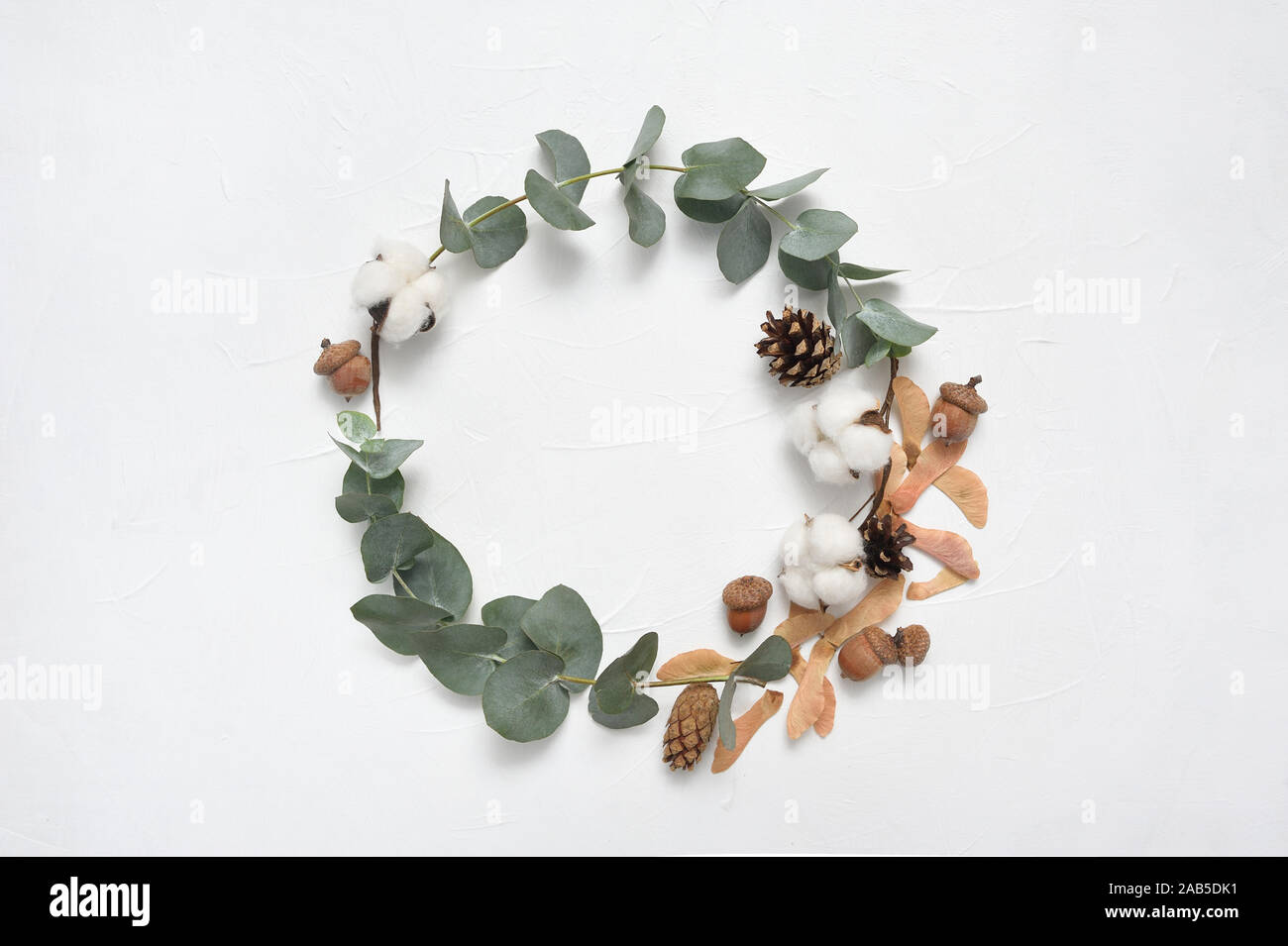 Automne couronne de feuilles d'Eucalyptus et Acorn, cone cadre sur fond blanc avec place pour votre texte. Mise à plat, vue du dessus Banque D'Images