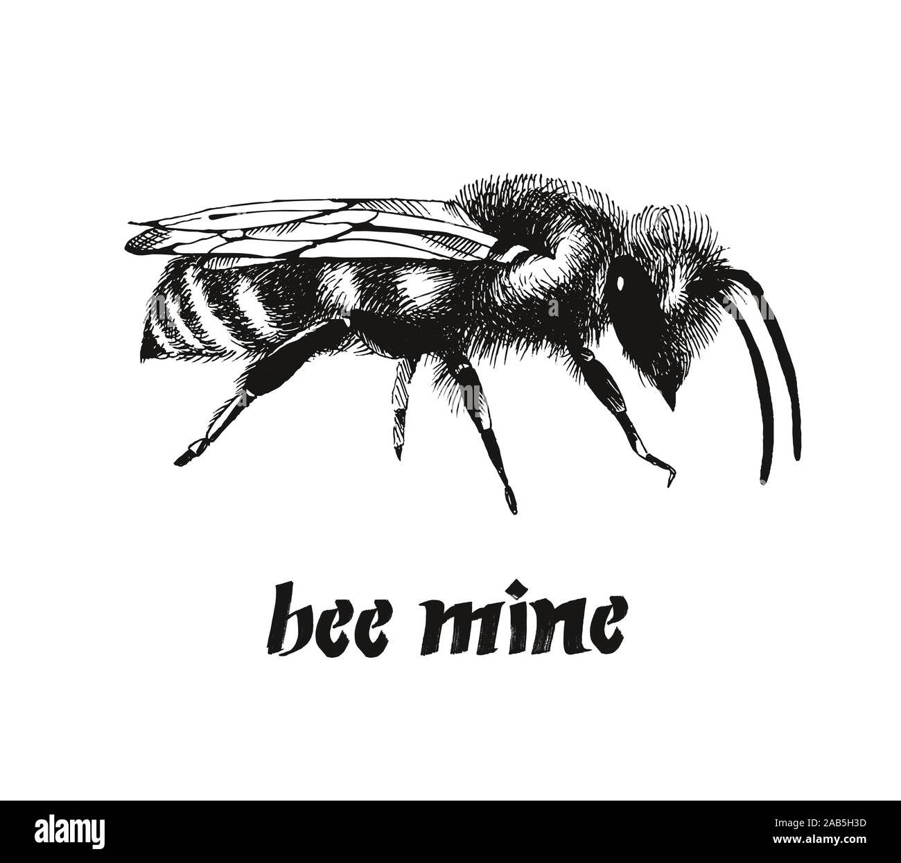 Be mine Valentine card, vecteur de couleur de l'abeille l'illustration dans le style gravure isolé sur fond blanc Illustration de Vecteur