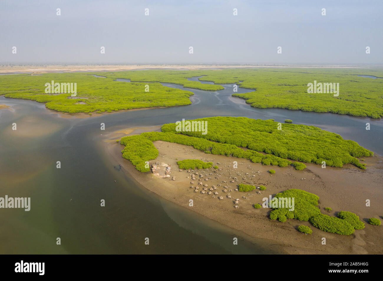 Vue aérienne de la forêt de mangrove dans le Parc National du Delta du Saloum, Joal Fadiout, au Sénégal. Photo faite par drone depuis au-dessus. Afrique du paysage naturel. Banque D'Images