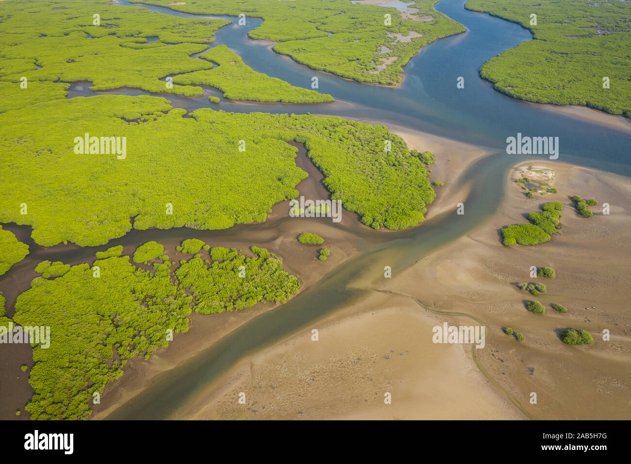 Vue aérienne de la forêt de mangrove dans le Parc National du Delta du Saloum, Joal Fadiout, au Sénégal. Photo faite par drone depuis au-dessus. Afrique du paysage naturel. Banque D'Images