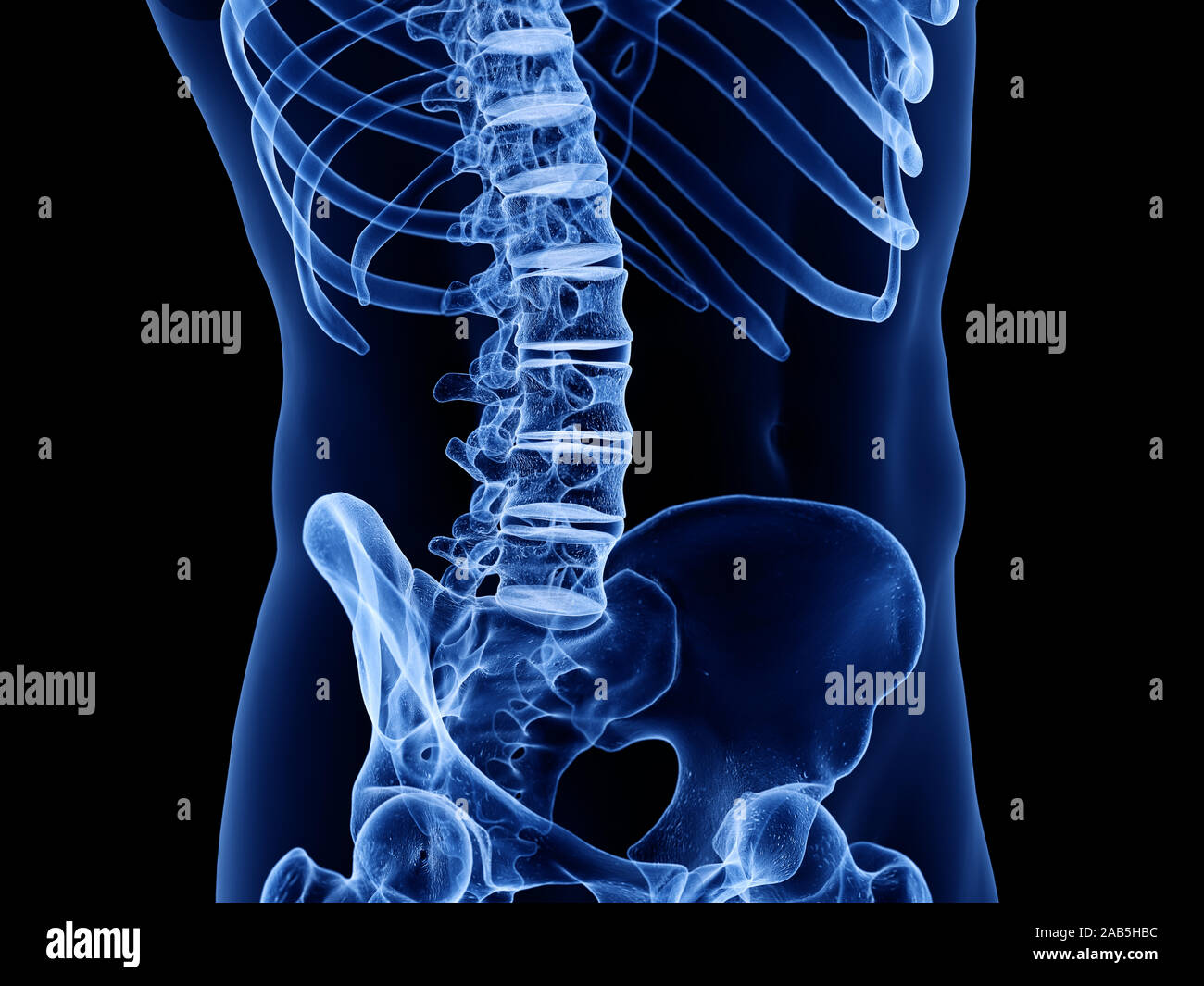 Médicalement en rendu 3d illustration précise de la colonne lombaire Banque D'Images