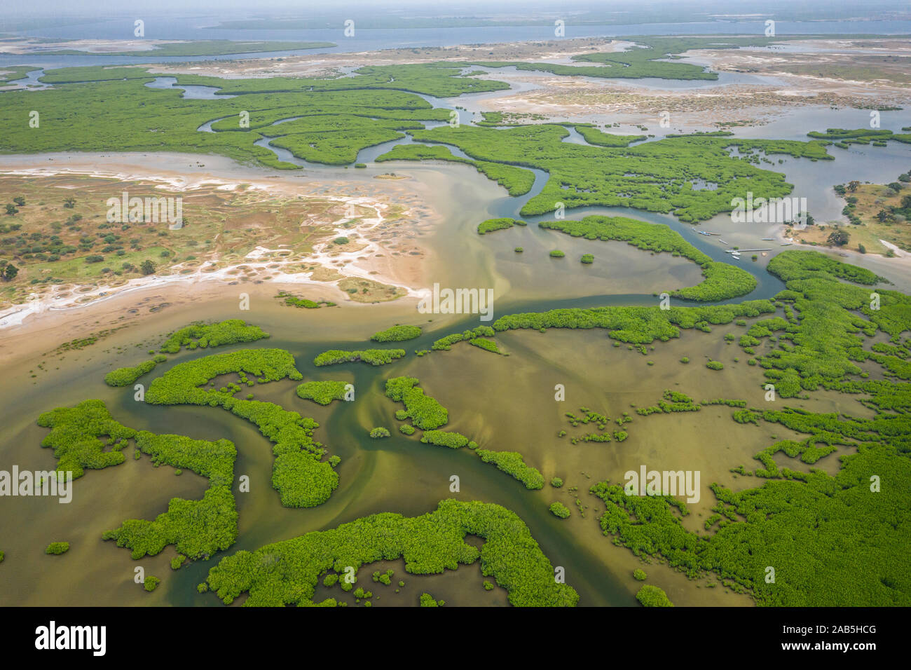 Vue aérienne de la forêt de mangrove dans le Parc National du Delta du Saloum, Joal Fadiout, au Sénégal. Photo faite par drone depuis au-dessus. Afrique du paysage naturel. Banque D'Images