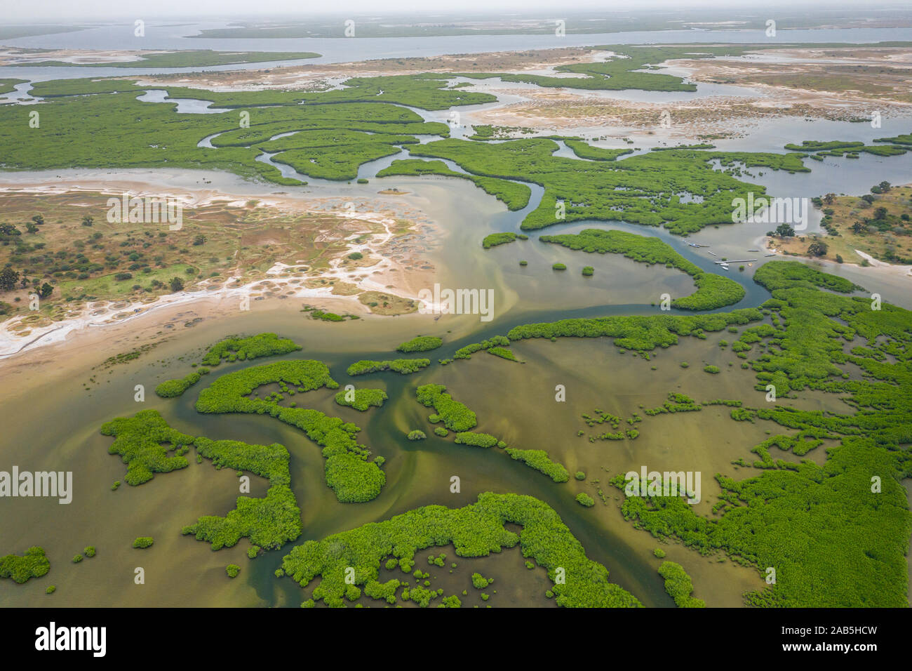 Vue aérienne de la forêt de mangrove dans le Parc National du Delta du Saloum, Joal Fadiout, au Sénégal. Photo faite par drone depuis au-dessus. Afrique du paysage naturel. Banque D'Images