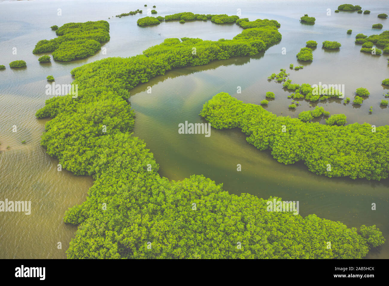 Vue aérienne de la forêt de mangrove dans le Parc National du Delta du Saloum, Joal Fadiout, au Sénégal. Photo faite par drone depuis au-dessus. Afrique du paysage naturel. Banque D'Images