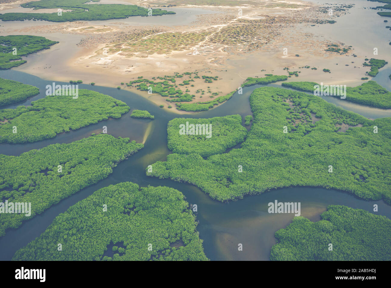 Vue aérienne de la forêt de mangrove dans le Parc National du Delta du Saloum, Joal Fadiout, au Sénégal. Photo faite par drone depuis au-dessus. Afrique du paysage naturel. Banque D'Images