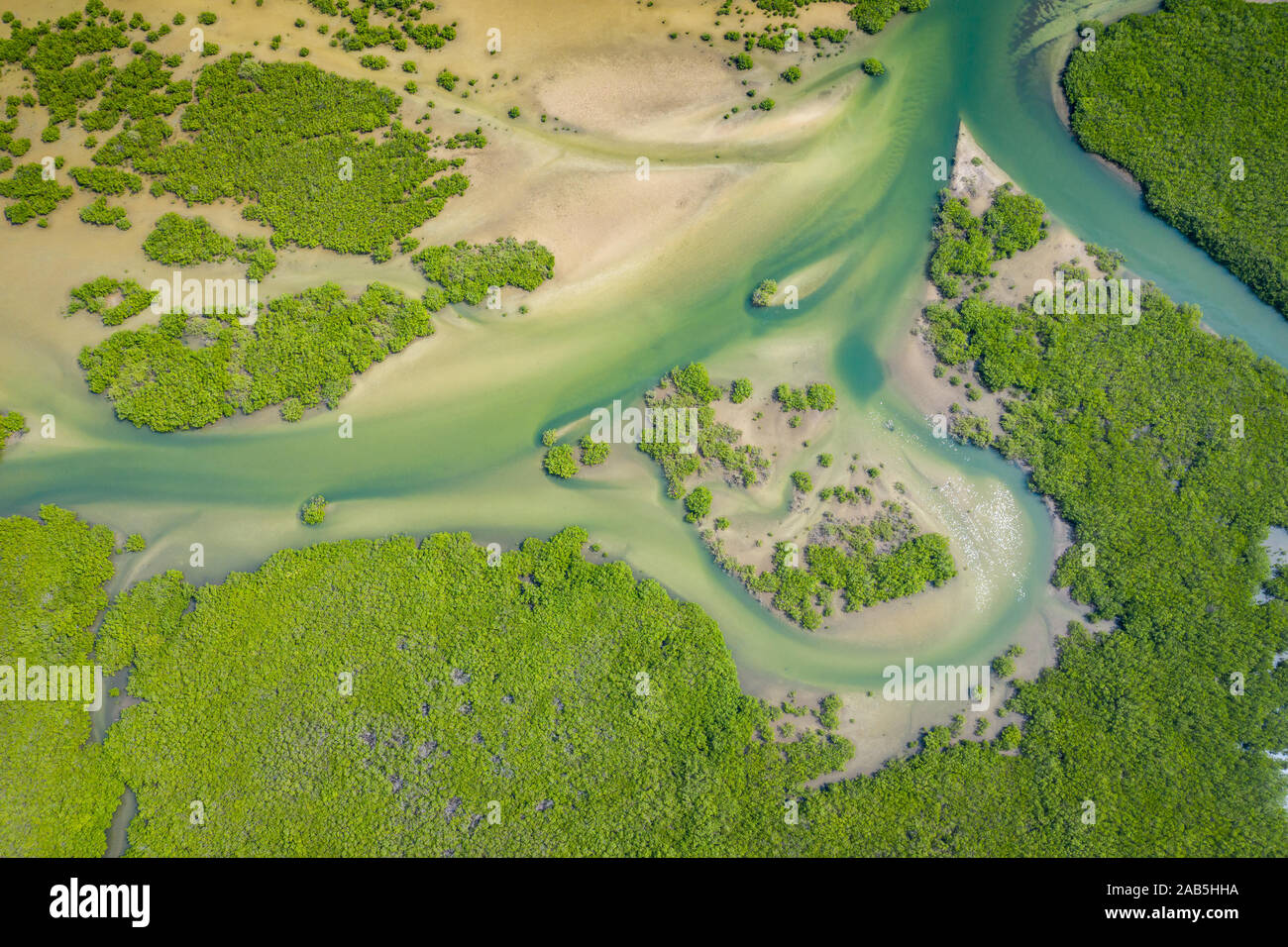 Vue aérienne de la forêt de mangrove dans le Parc National du Delta du Saloum, Joal Fadiout, au Sénégal. Photo faite par drone depuis au-dessus. Afrique du paysage naturel. Banque D'Images